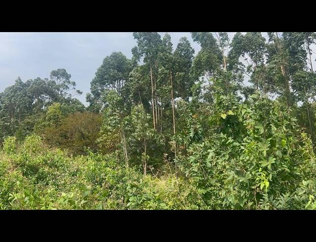 LAND FOR SALE IN ONGOYE
